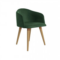 Manhattan Comfort 1020483 Kari Velvet Matelasse Accent Chair in Green